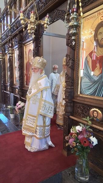 20231108 092527 wGGeiFGC4G