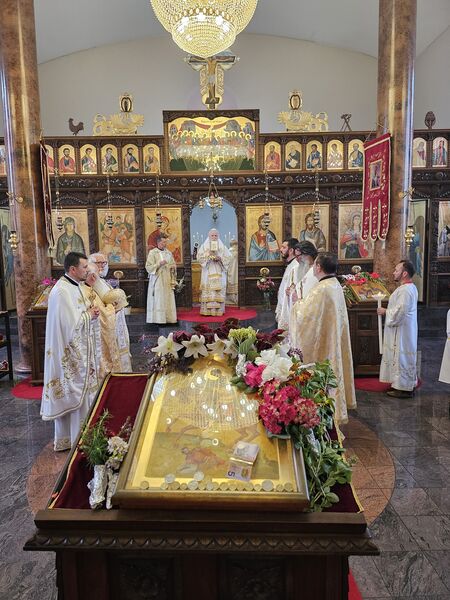 20231108 095635 B7uiHNpi3I