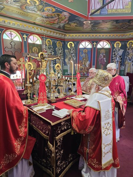 20231119 092101 l4giX3Ed74