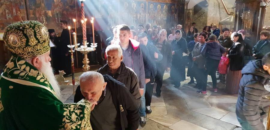 precistaparast2018 6