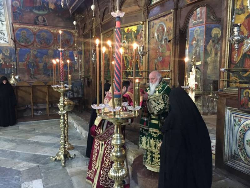 precistaparast2018 7