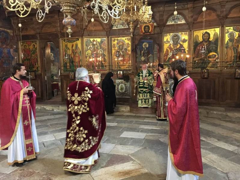 precistaparast2018 8