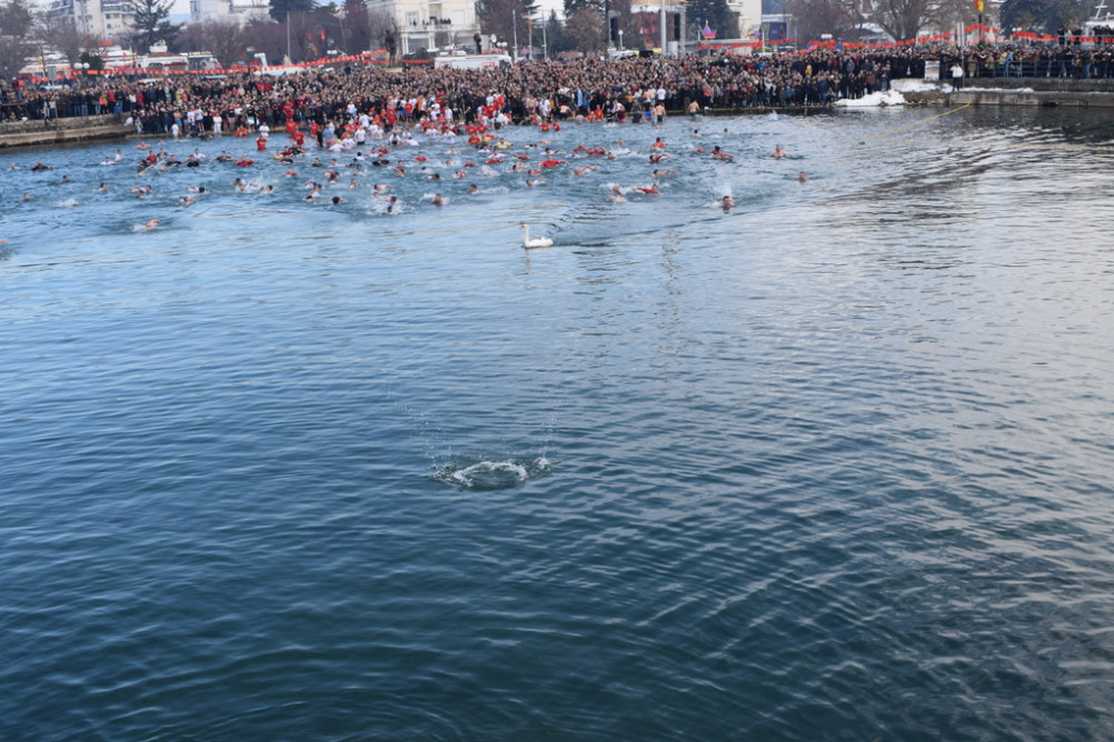 еордијастр2019 25