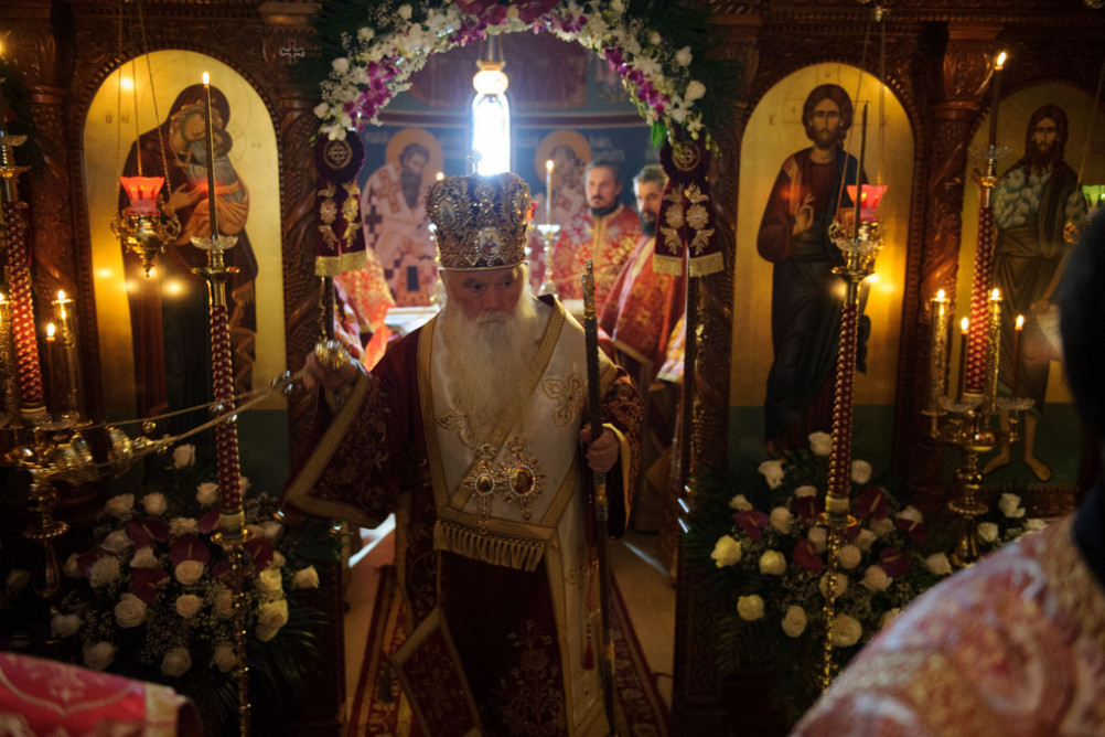 nednasvgrigpal2019 12