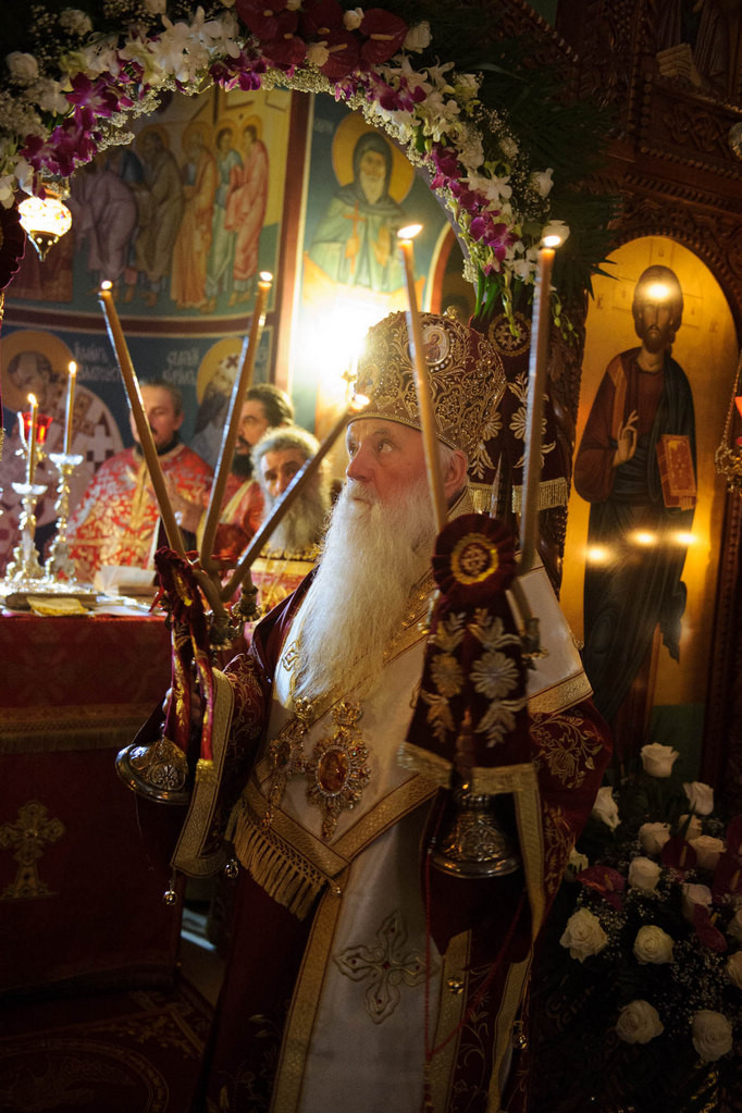 nednasvgrigpal2019 14