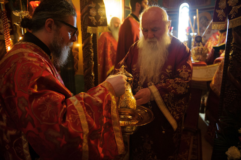 nednasvgrigpal2019 17