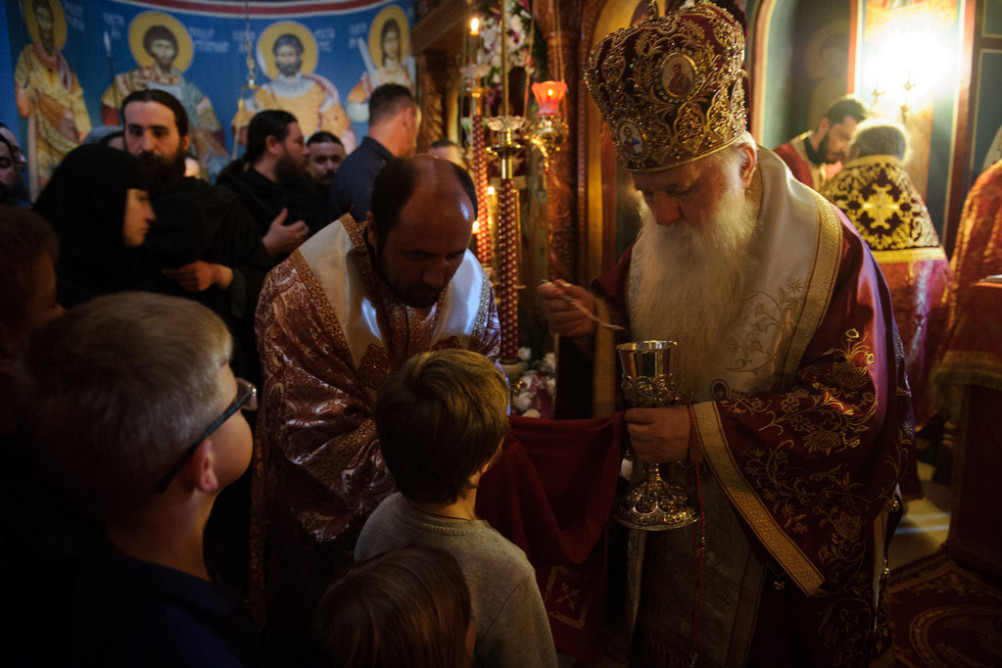 nednasvgrigpal2019 25