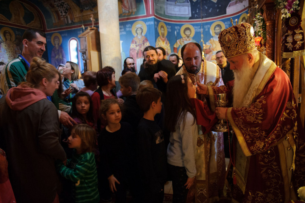 nednasvgrigpal2019 26