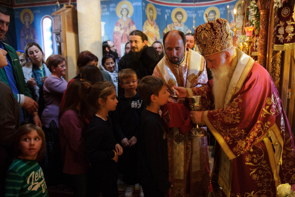 nednasvgrigpal2019 27