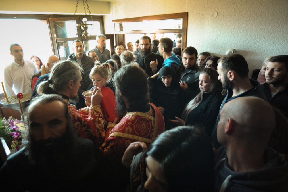 nednasvgrigpal2019 29