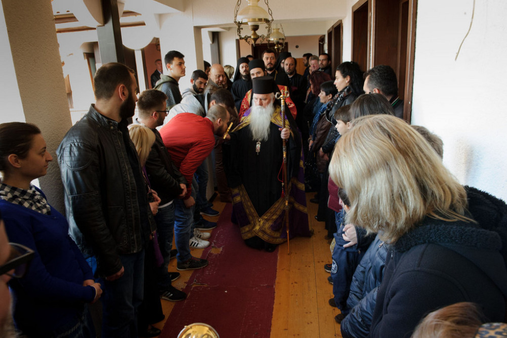 nednasvgrigpal2019 3