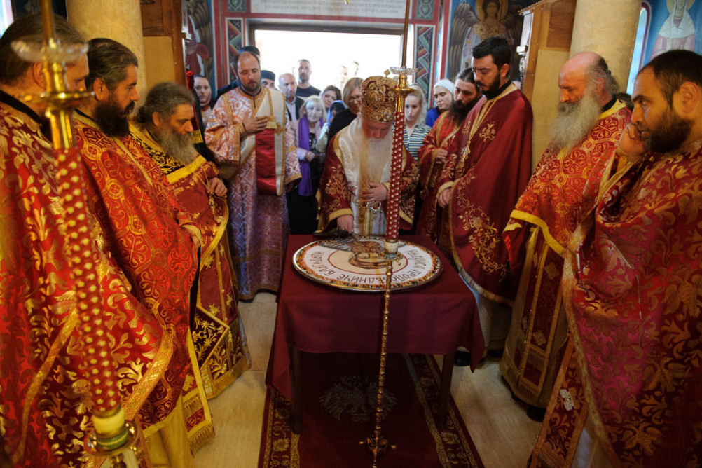 nednasvgrigpal2019 31