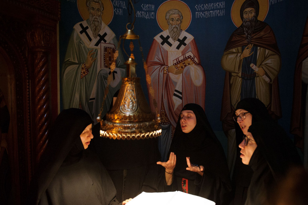 nednasvgrigpal2019 8