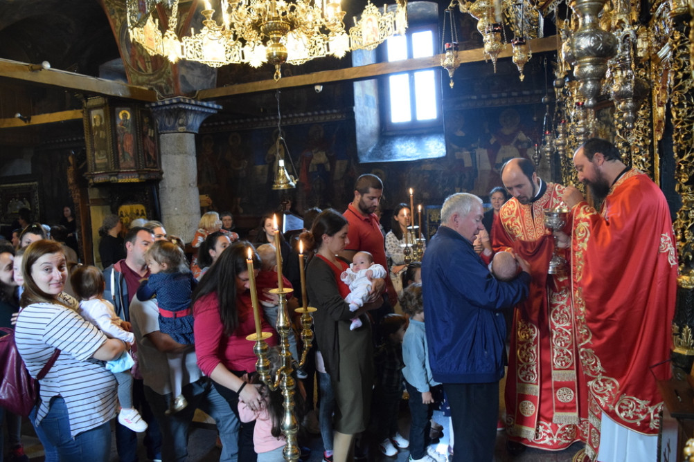 nednasitmaksv2020 28