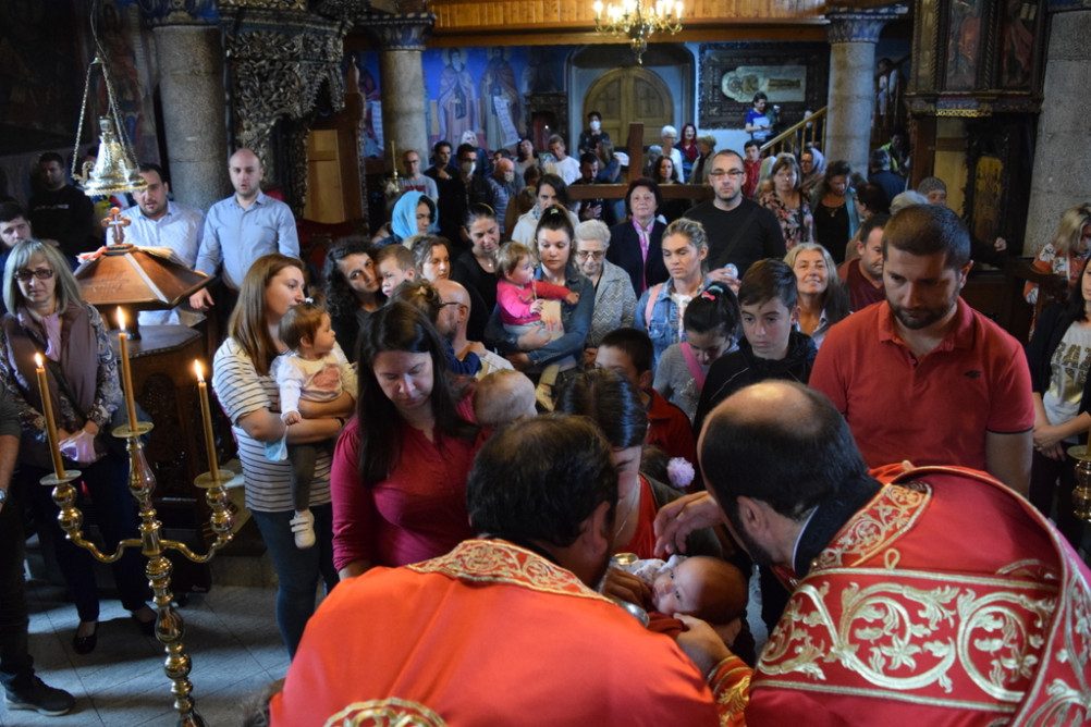 nednasitmaksv2020 29