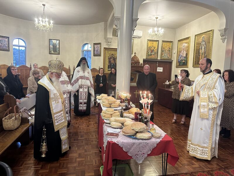 IMG 1303 1 QZD0mGYg6r